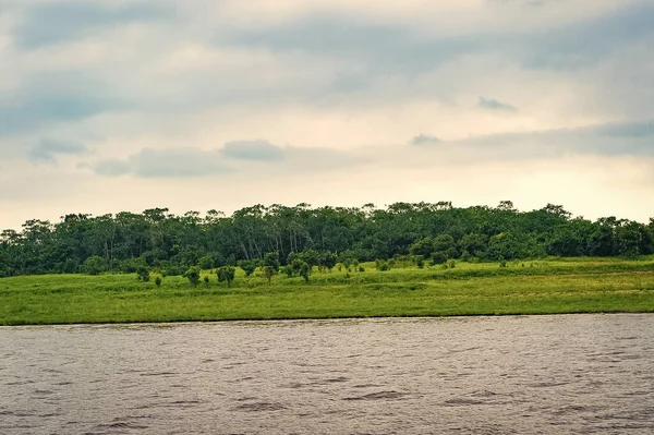 Nehirle nehir kenarı doğa manzarası. Yeşil çimenli nehir kenarı manzarası. Nehir kenarındaki doğa manzarası ve ufuk çizgisi. Nehir kenarındaki doğa manzarasının fotoğrafı..