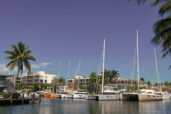 Miami, Florida ABD - 25 Mart 2023: Denizcilik yatlı Miami Yaz Limanı.