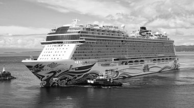 Victoria, Kanada - 28 Haziran 2019: Denizde devasa bir seyahat gemisi.