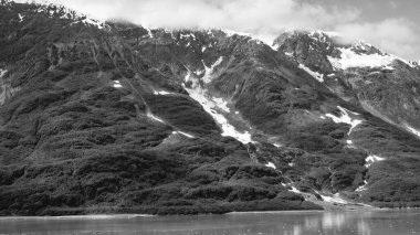 Karlı zirveleri olan yeşil dağ yamaçları. Dağ kıyısı doğal dağ manzarası. Dağ manzarası. Hubbard Buzulu doğası Alaska, ABD.