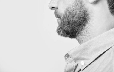 Gri arka planda sakallı, sakallı adam görüntüsü, kopyalama alanı. Stüdyoda sakallı bir adam var. Sakallı bir adamın fotoğrafı. Sakallı, sakallı, sıradan gömlekli bir adam..