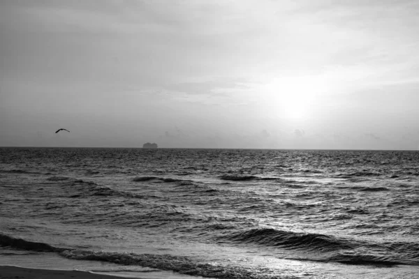 Havslandskap Med Havsvågor Rullande Solnedgången Natthimlen — Stockfoto
