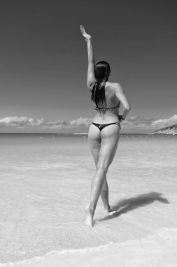 Plajda yaz tatilindeki kadın. Yaz tatilindeki bir kadının arka görüntüsü. Cennette yaz tatilindeki bir kadın. Yaz tatilindeki bir kadının fotoğrafı..