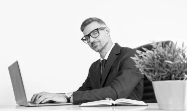 Gülümseyen olgun iş adamı iş ofisinde dizüstü bilgisayarla oturuyor..