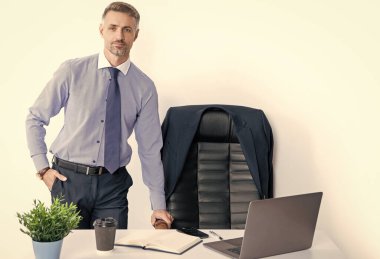 mature boss working in office with laptop.