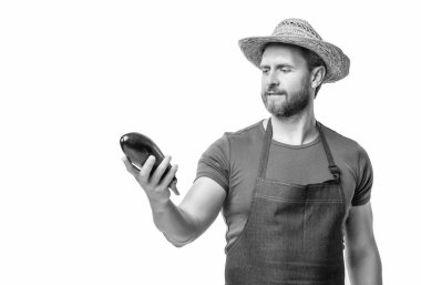 Önlüklü ve şapkalı manav. Beyaz üzerine izole edilmiş patlıcan sebzeli..