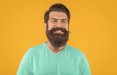 Stüdyodaki neşeli sakallı adamın portresi. Arka planda sakallı adamın portresi. Sakallı adamın portresi. Sarıda izole edilmiş sakallı adamın portresi..