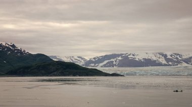 Alaska 'daki dağ manzarası. Alaska 'daki dağın fotoğrafı. Alaska 'daki dağ. Alaska 'daki karlı dağ.