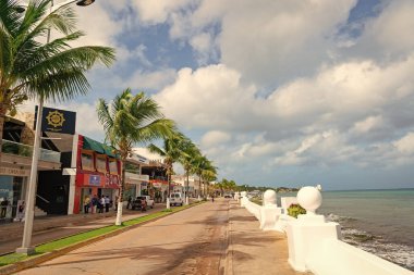 Cozumel, Meksika - 24 Aralık 2015: Palmiyelerle birlikte deniz kenarında yaz gezisi bulvarı.