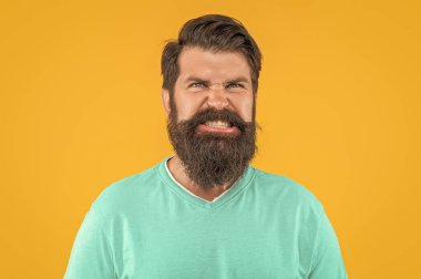 Saldırgan sakallı adamın portresi. Sarıda izole edilmiş sakallı adamın portresi. Stüdyoda sakallı adamın portresi. Arka planda sakallı adamın portresi.