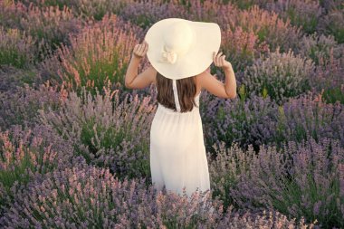 Beyaz elbiseli ergen kız lavanta çiçeklerinin arasında yürüyor. Güzel kız lavanta çiçeklerinde poz veriyor. Çiçeklerle çevrili lavanta tarlasında güzel bir kız. Bahçedeki lavanta çiçeklerindeki genç kız..