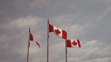 canadian flag of canada. maple leaf on canadian flag of canada. canadian flag of canada on sky background. photo with canadian flag of canada. clipart