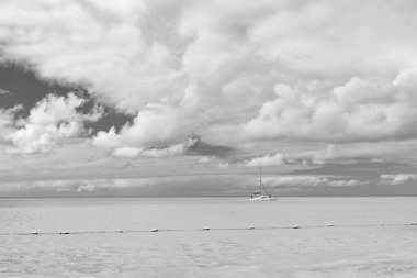 Gökyüzü ve deniz manzarası yaz tatilinde. Turkuaz suyla deniz manzaralı yaz doğası. Deniz manzaralı yaz manzarası. Deniz manzaralı Ufuk çizgili yaz doğası.