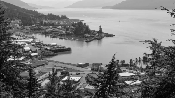 Wrangell, Alaska ABD - 26 Mayıs 2019: Alaska limanındaki havadan görüş.