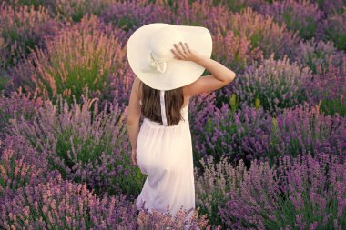 Lavanta çiçeklerinde poz veren bir kızın arka görüntüsü. Çiçeklerle çevrili lavanta tarlasında güzel bir kız. Bahçedeki lavanta çiçeklerindeki kız. Beyaz elbiseli genç kız lavanta çiçekleri arasında yürüyor..