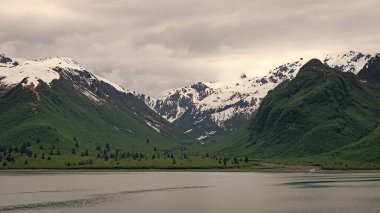 Vahşi doğadaki manzara dağının fotoğrafı. Doğa manzaralı bir dağ. Karlı zirveleri olan manzara dağı. Alaska 'daki dağın manzarası..