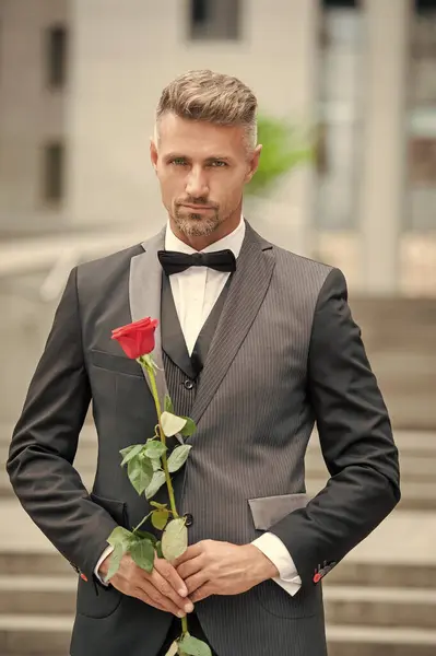 Ocasião Especial Formalwear Homem Carismático Com Rosa Para Ocasião Especial — Fotografia de Stock