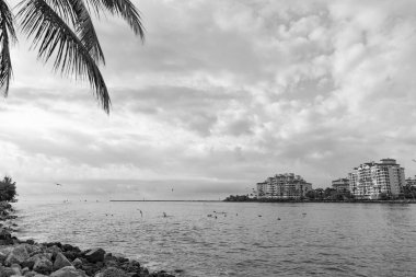 Şehir merkezinde palmiye yapraklı bir mimari. Şehir merkezindeki deniz kenarı açıklığı. Şehir merkezinin fotoğrafı. Şehir merkezinde binalar var..