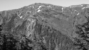Varış yerinin havadan görüntüsü. Varış yeri, işitme mesafesi. Varış yeri doğa. Alaska 'daki varış yeri.
