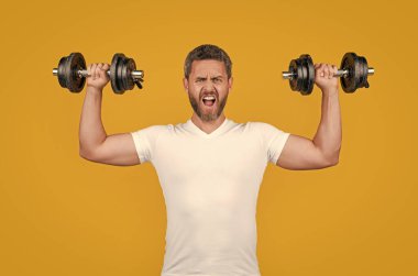 Bağıran kaslı fitness elemanı halteri gömleğinin içinde tutuyor. Halterli kaslı fitness adamı. Sarı halterli kaslı fitness antrenmanı. Halterle antrenman yapan kaslı fitness adamı.