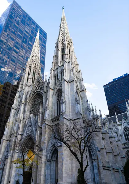 New York City, ABD - 11 Kasım 2023: New York Manhattan 'daki St. Patrick Katedrali kilise mimarisi.