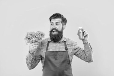 Önlüklü mutlu adam elinde meyve suyu şişesi olan taze marullara bakıyor. Sarı arka plan, meyve suyu barmeni..