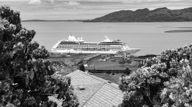 Yolcu gemisi varış noktasında. Yolcu gemisi seyahat noktasında. Yolcu gemisinin gittiği yerin manzarası. Gideceğimiz yerdeki yolcu gemisinin fotoğrafı..