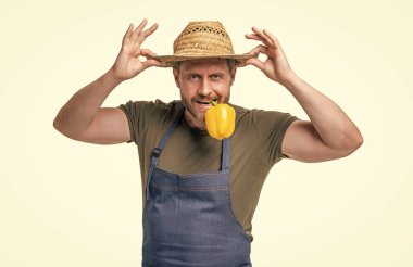 Önlüklü ve şapkalı neşeli adam beyaz tenli tatlı biberli sebzeyi ısırıyor..