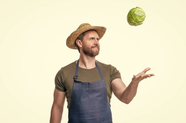 Önlüklü ve şapkalı bir adam. Toplanmış lahana sebzeli, beyaz tenli..