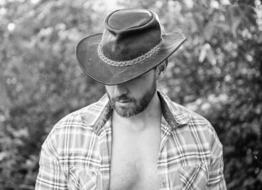man in cowboy hat look down. sexy cowboy in checkered shirt. western cowboy wearing hat.