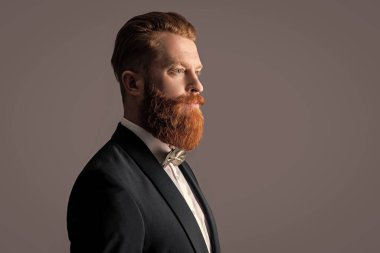 Profile portrait of bearded man. Irish man with unshaven face. Handsome man wearing long beard studio isolated on grey, copy space.