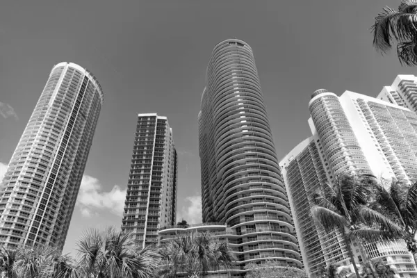 stock image high skyscraper building on blue sky. skyscraper building outdoor. skyscraper building in miami. photo of skyscraper architecture building.