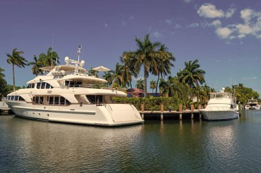 Palmiye ağaçlarıyla dolu bir yatta yaz tatili konsepti. Lüks bir yatta yaz tatili. Denizde bir teknede yaz tatilinin tadını çıkarıyorum. Bir sürat teknesi ile yaz tatili.