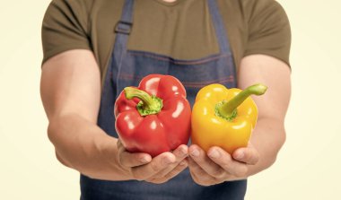 Beyazların üzerinde izole edilmiş bir adamın ellerinde tatlı biberli sebze.