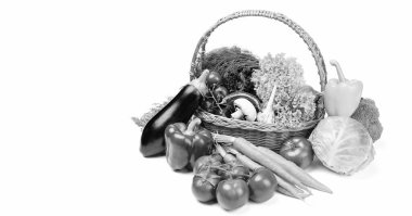 Still-life with fresh vegetables in basket isolated on white, copy space.