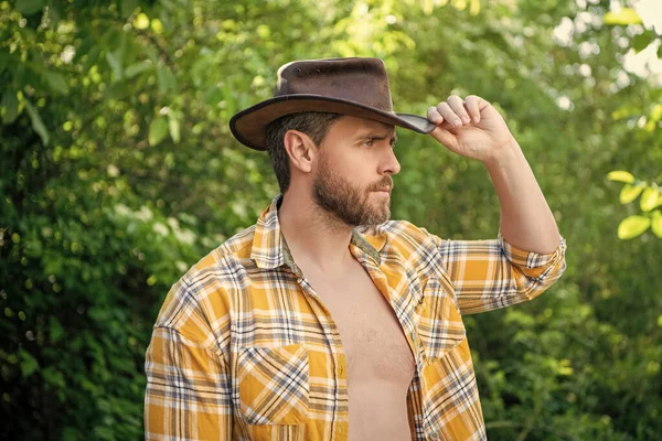 caucasian man in cowboy hat. sexy cowboy in checkered shirt. western cowboy wearing hat.