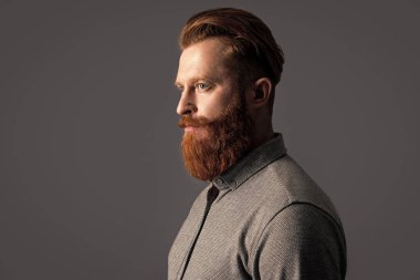 Gri arka planda sakallı ve bıyıklı traşsız bir adam profili var. Traşsız adamın stüdyo fotoğrafı. Bıyık ve sakal bakımı. Yakışıklı, sakallı ve bıyıklı..
