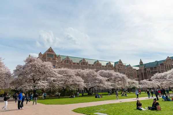 Seattle, Washington ABD - 2 Nisan 2021: Parkında çiçek açan ağaçlarla Washington Üniversitesi Kampüsü.