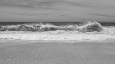 Bahamalar yaz sahili. Yaz deniz manzaralı tatil. Kum ve denizle kaplı yaz deniz manzarası. Yaz deniz manzarasının fotoğrafı.
