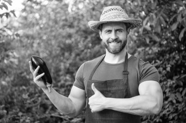 Patlıcan sebzeli hasır şapkalı manav. başparmak yukarı.