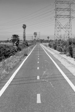 Asfalt yolda, kırsal kesimlerde sütun var..