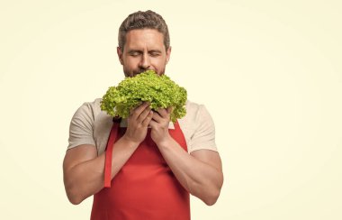 Önlüklü, salatalı, beyaz sebzeli bir adam. Boşluğu kopyala.