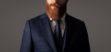 Girişimci görüşü resmi giysiler giyer. Girişimcinin stüdyo çekimi. Takım elbiseli ve kravatlı bir girişimci. Takım elbiseli girişimci gri arka planda izole edildi