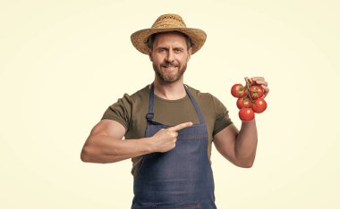 Önlüklü, şapkalı, domates sebzeli, beyaz tenli bir adam. işaret parmağı.