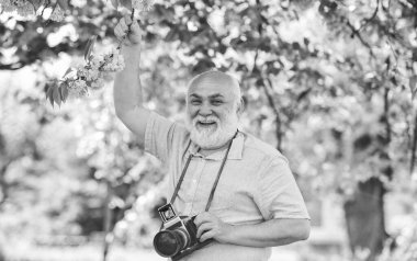 Kalbinizi büyüleyen anları yakalamak. Çekim yapan fotoğrafçı. Mükemmel çerçeve. Emeklilik hobisi. Kıdemli fotoğrafçı arka planda ağaçlar açıyor. Kameraman emekliliği. Profesyonel fotoğrafçı..