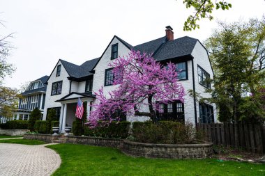 Banliyö evi. Amerika 'da kiralık bir ev. Konut sigortası. Mimarlık konutu. Banliyö mahallesi. Amerikan mahallesindeki malikanede. Mimari. Banliyö bahçeleri.