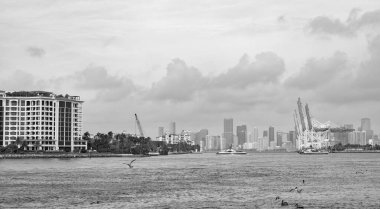 Miami sahilinin gökdelenleriyle gökyüzü ve deniz manzarası.
