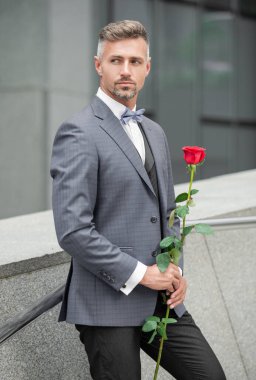 proposal concept. grizzle tuxedo man preparing for a proposal. man before marriage proposal.