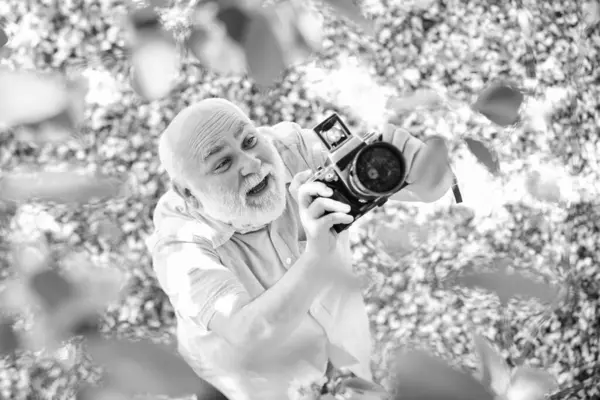 Enjoying every moment. spring season with pink flower. old man watch young plants. photographer man take sakura blossom photo. Cherry blossoming garden. photographer taking photo of apricot bloom.