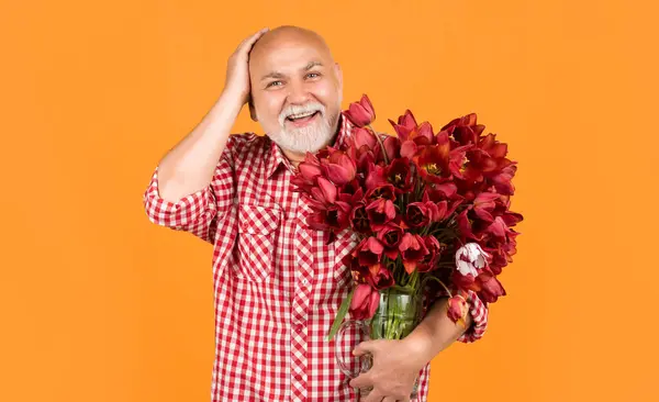 happy old bearded man hold spring tulip flowers on yellow background.